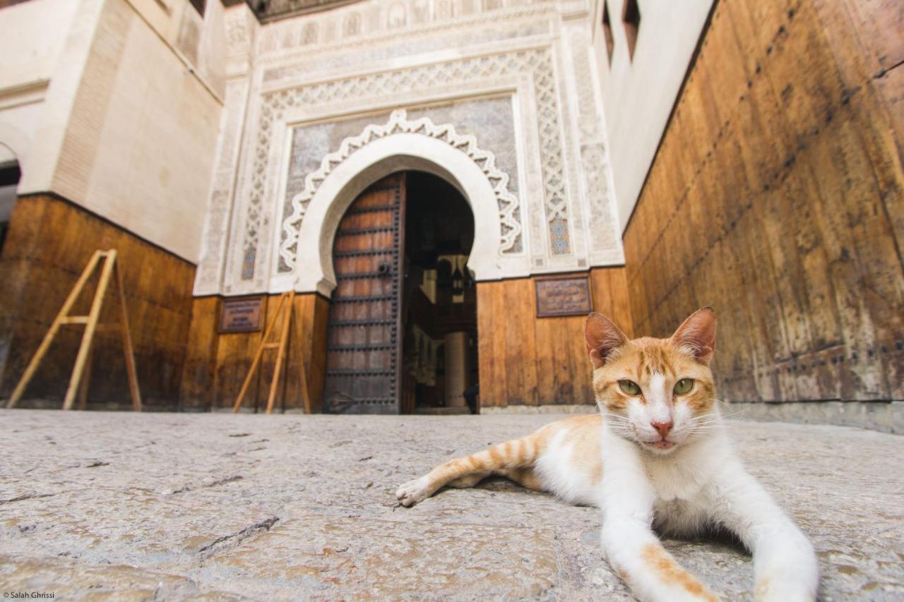 Riad Anis Fès Exteriör bild